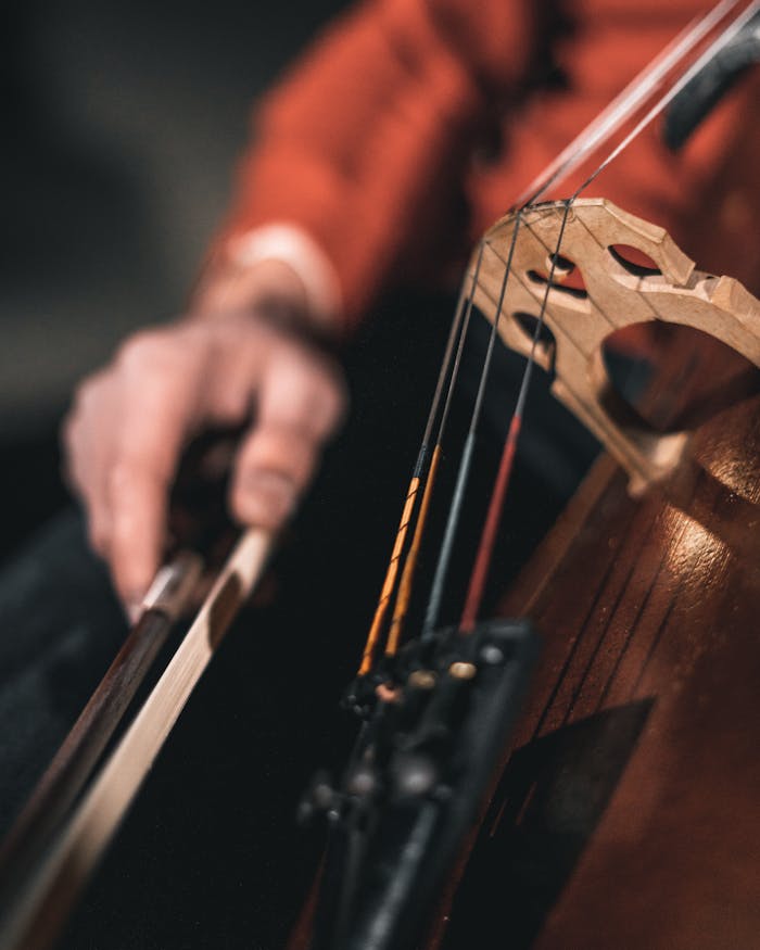 Person playing stringed instrument